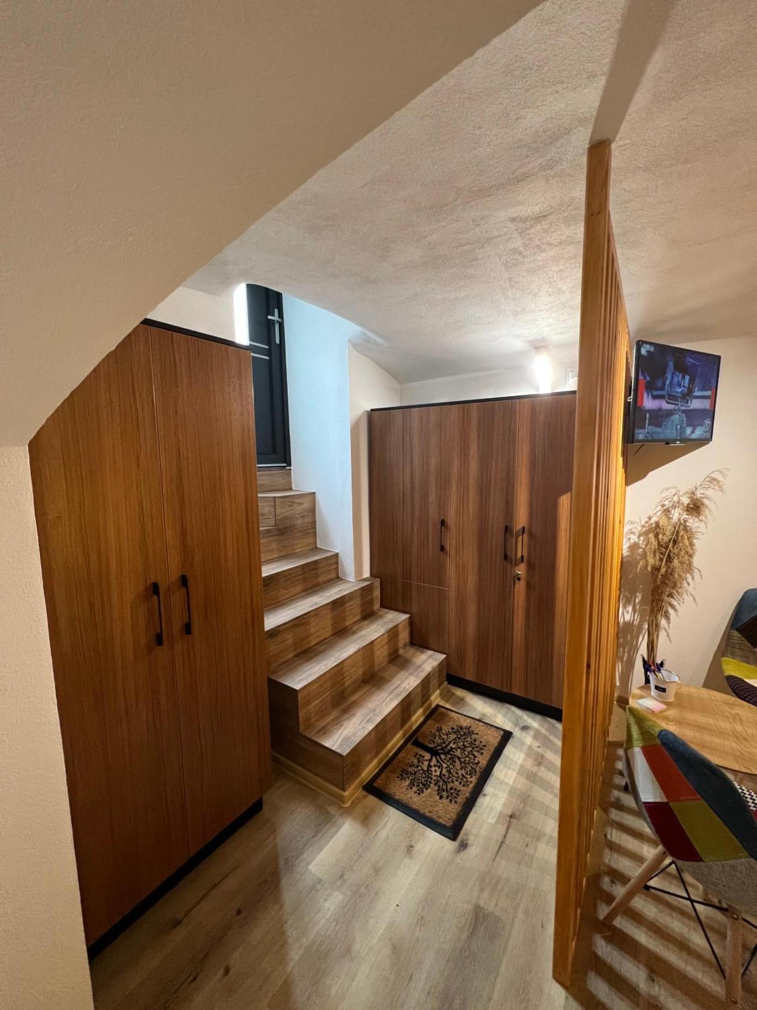 Apartament Tim 1